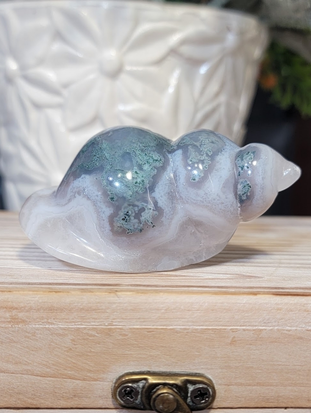 NEW 2.87" AGATE SHELL